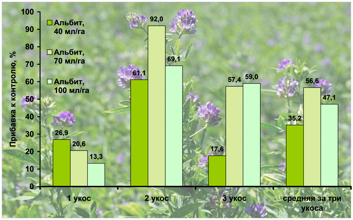 Люцерна урожайность с 1. Укос люцерны с 1 га. Урожайность люцерны. Урожайность люцерны с 1 га зеленая масса. Продуктивность люцерны.