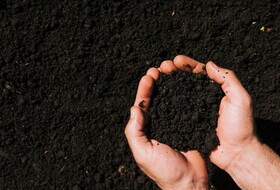 Советы владельцам приусадебных и дачных хозяйств: создание компостной ямы на участке