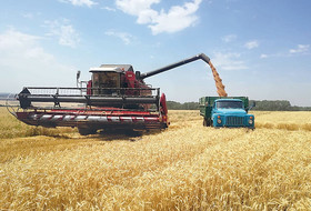 Воронежцы рассчитывают на большой урожай