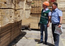 С начала года из Астраханской области экспортировано более 80 тысяч кубометров лесоматериалов