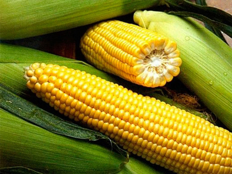 Кукуруза по-волгоградски 