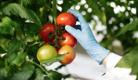Пестициды и агрохимикаты: как избежать вредного воздействия на организм 