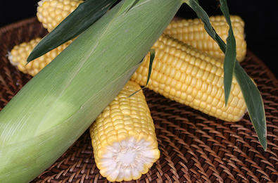 Оватонна — сладкая кукуруза, которая экономит воду