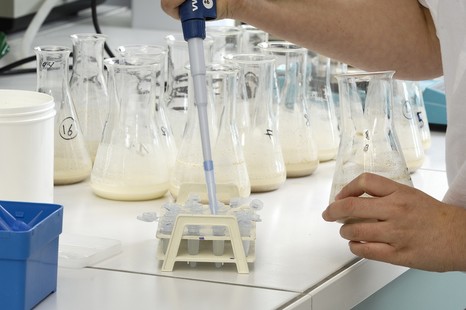Сырое молоко: качество и безопасность