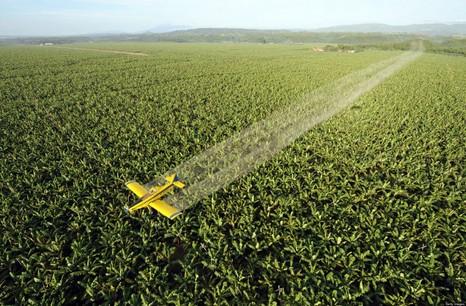 Загрязнение  почвы  пестицидами и пути его преодоления