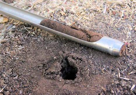 Этапы исследования почвы в сфере государственного земельного надзора