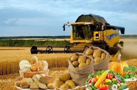 Россия заняла 24-е место в Глобальном индексе продовольственной безопасности