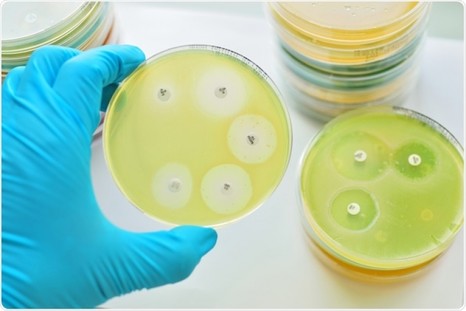 Определение чувствительности микроорганизмов к антибактериальным препаратам