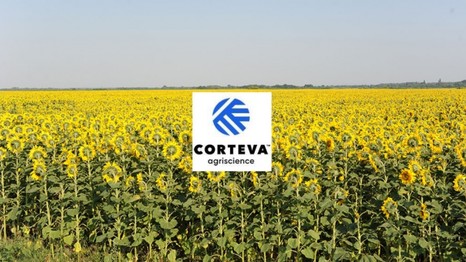 Инновационные средства обработки семян от Corteva Agriscience