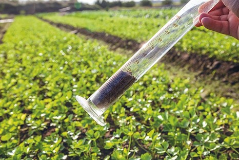 Агрохимический анализ почвы