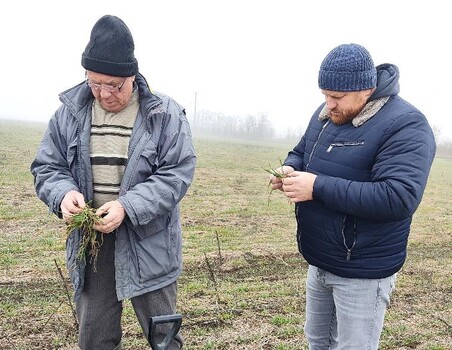 В Советском районе Ставрополья продолжается комплексная работа специалистов Россельхозцентра