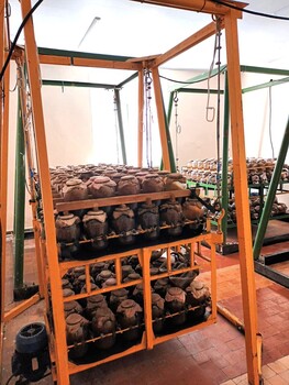  В лаборатории Ставропольского Россельхозцентра произведена крупная партия биопрепарата