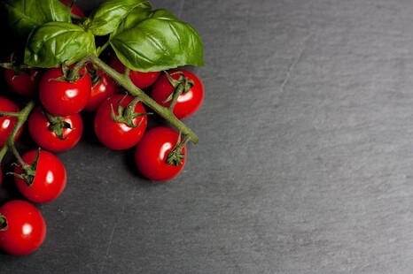 Генетически отредактированные помидоры могут стать новым источником витамина D