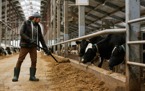 В Башкирии будут реализованы 14 проектов молочных комплексов на 5 млрд рублей