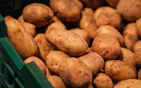 Надежда на зиму: аграрии — об урожае и спросе на картофель на Юге России
