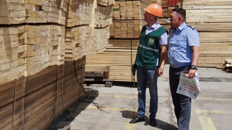 С начала года из Астраханской области экспортировано более 80 тысяч кубометров лесоматериалов