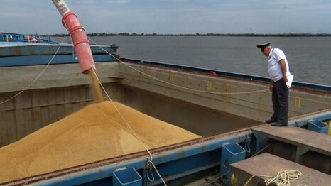 В Астраханской области объем экспорта зерна и продуктов его переработки вырос почти в 3 раза