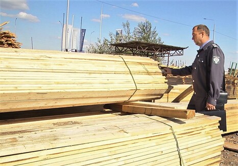 В Астраханской области проконтролировано более 22 тысяч кубометров лесоматериалов, предназначенных на экспорт в Иран