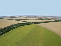 С начала 2024 года в Ростовской области введено в оборот более 590 гектаров ранее неиспользуемых сельхозугодий