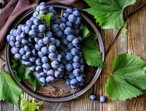 На Кубани планируют роботизировать процесс выращивания винограда