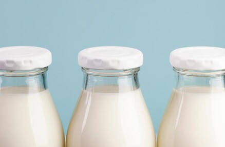 Обнаружение растительных масел и жиров в пробах молока