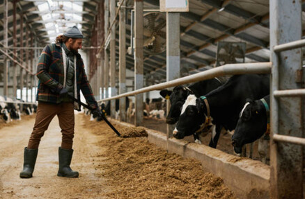 В Башкирии будут реализованы 14 проектов молочных комплексов на 5 млрд рублей