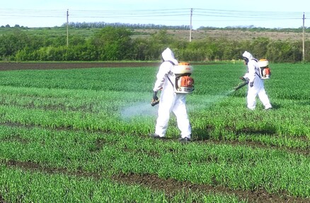 В Минераловодском районе провели инсектицидные обработки опытных посевов