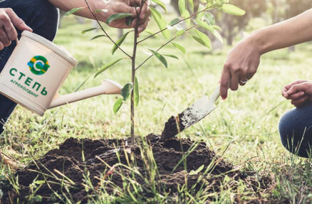 Агрохолдинг «СТЕПЬ» сажает деревья